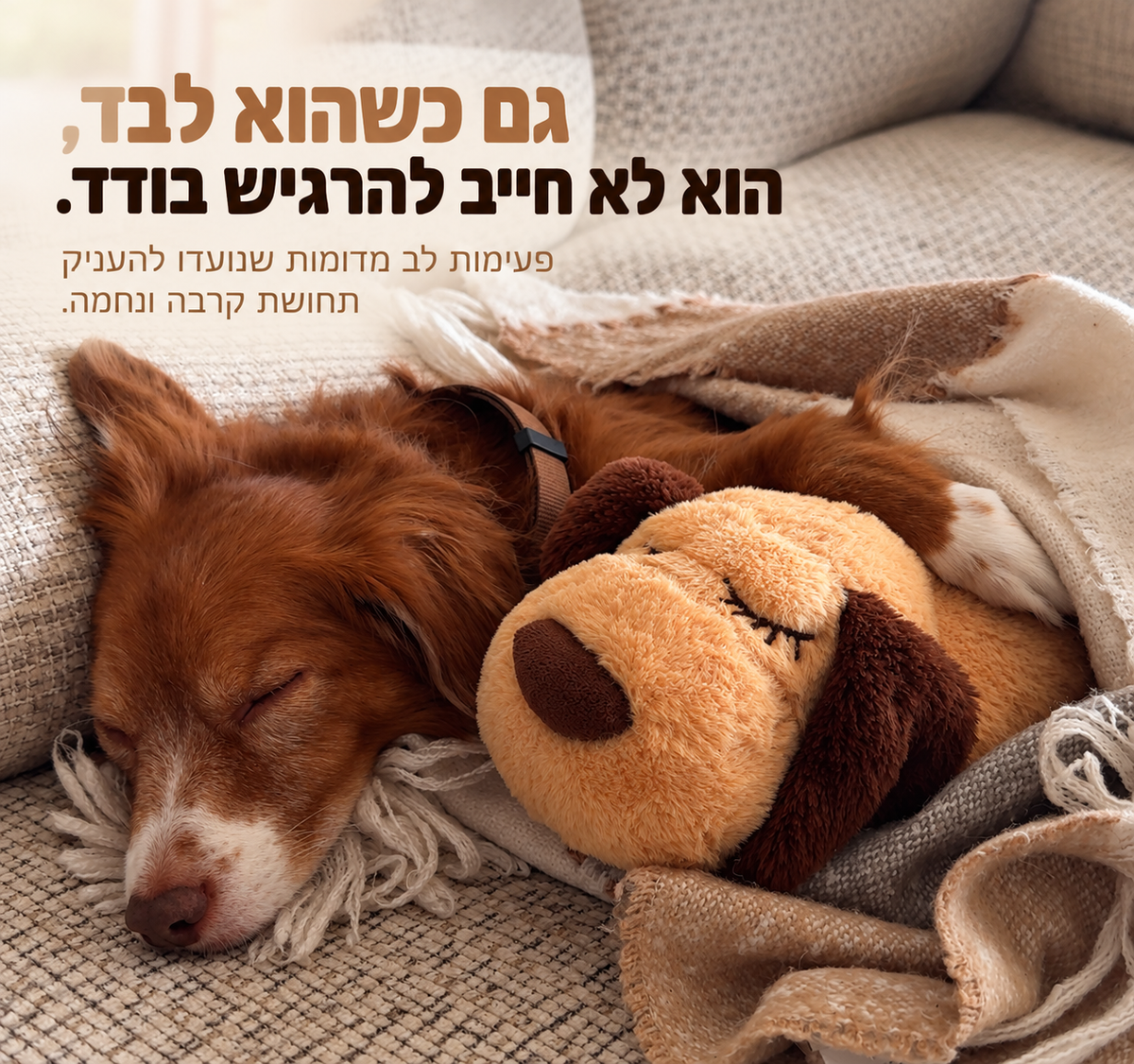 בובת הדופק שסייעה למאות כלבים עם חרדת הנטישה שלהם